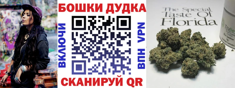 Купить закладки  Алексин  Бошки Шишки ГИДРОПОН 